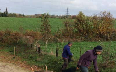 Adrénature : préservons la forêt