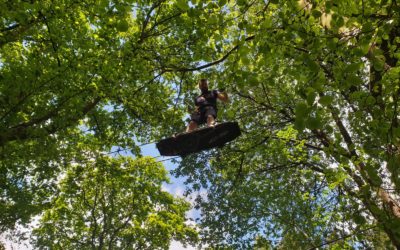 Rentrée des classes : changement d’horaires au Parc aventure Adrenature